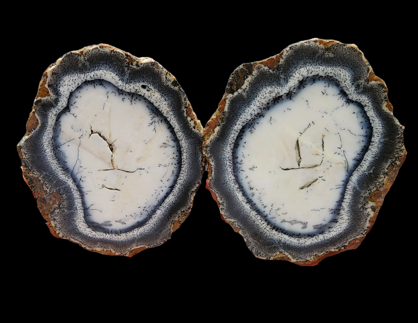 Dendritic Opal