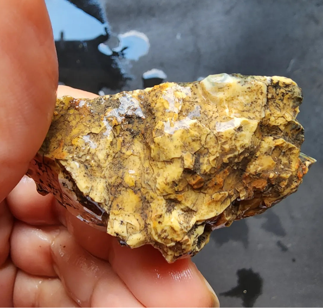 Dendritic Opal Rough Lot