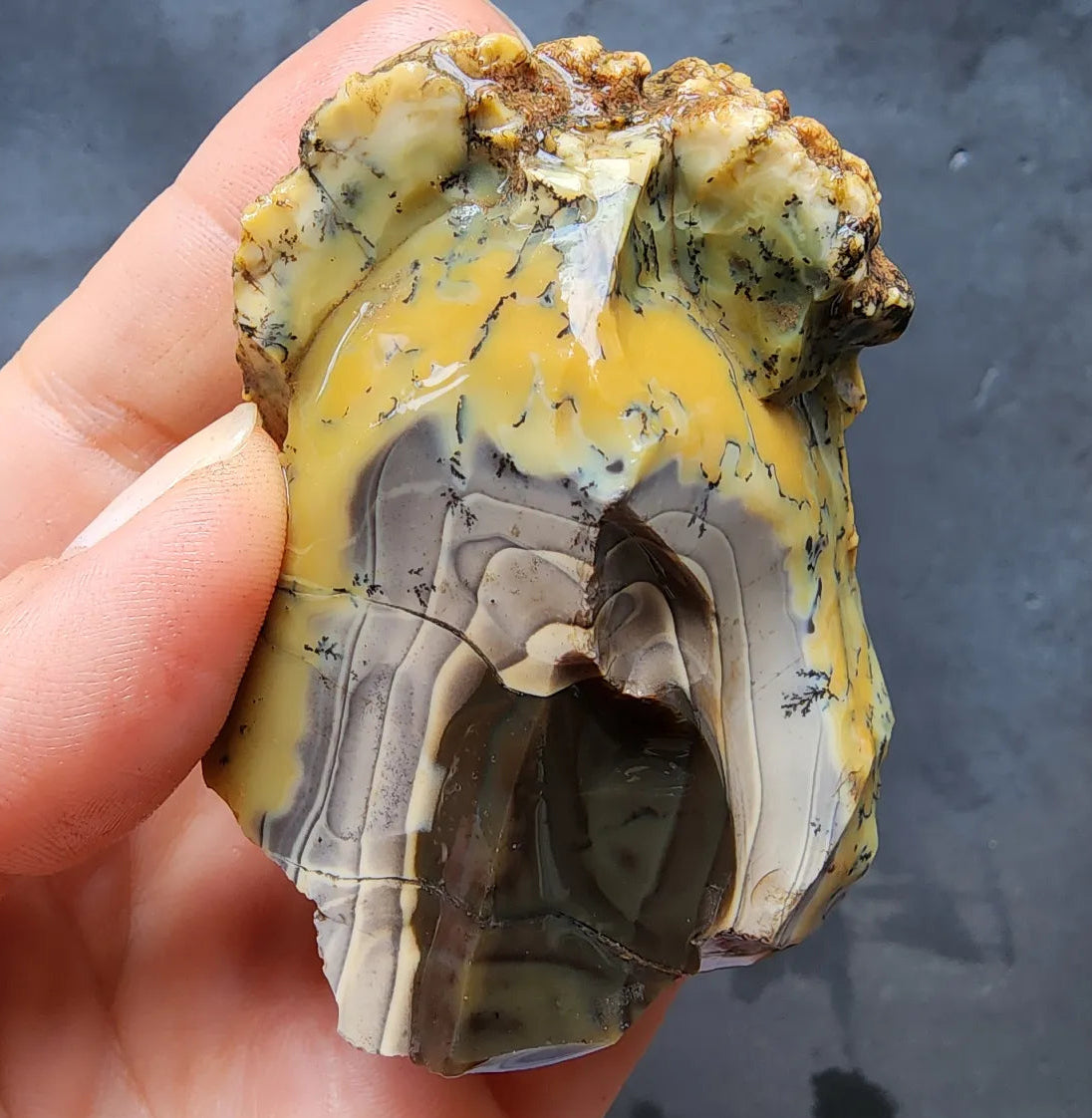 Dendritic Opal Rough Lot
