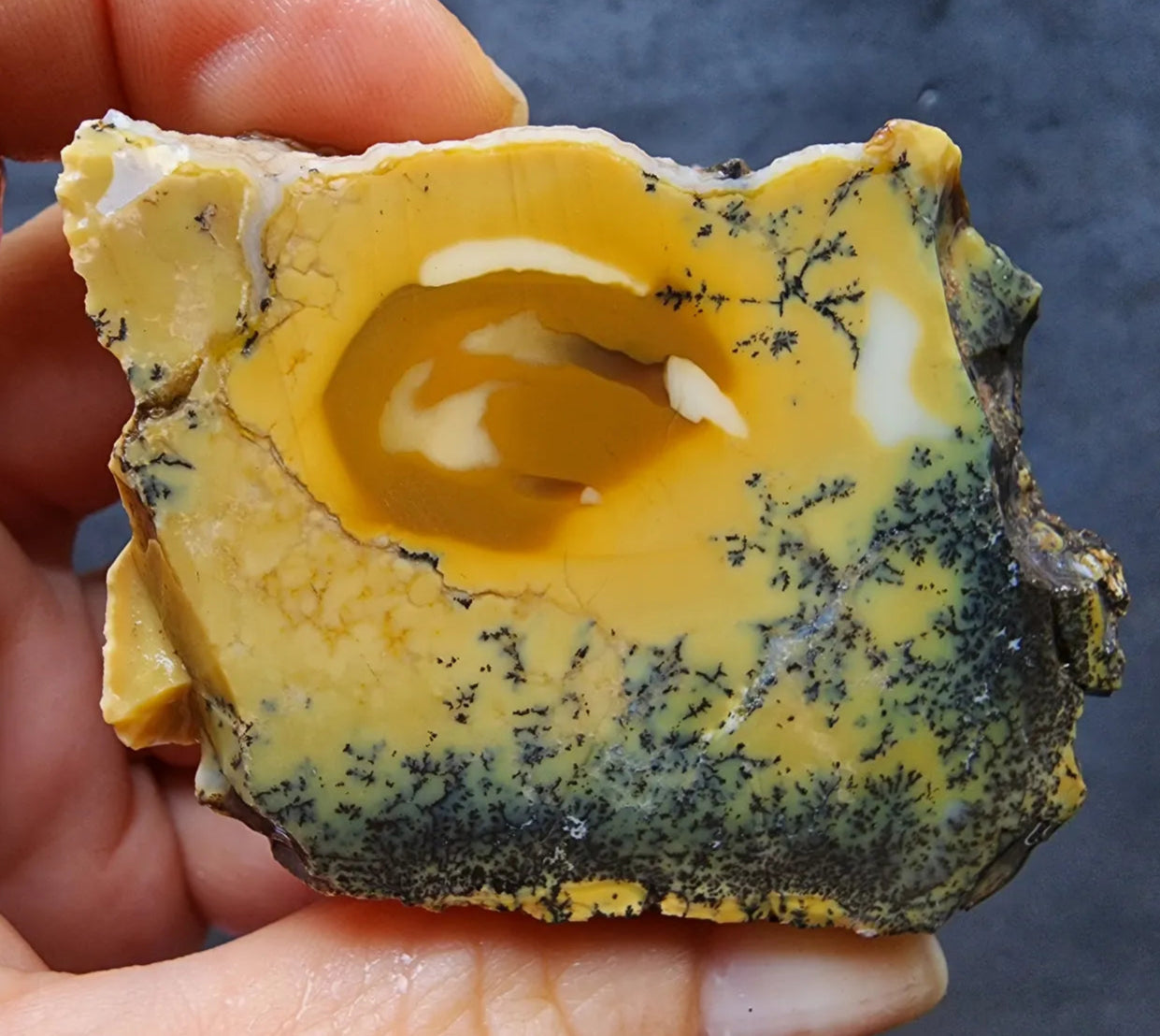 Dendritic Opal Rough Lot