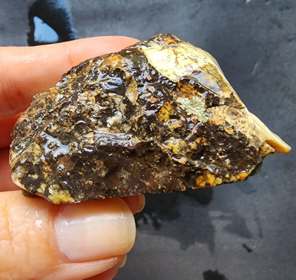 Dendritic Opal Rough Lot
