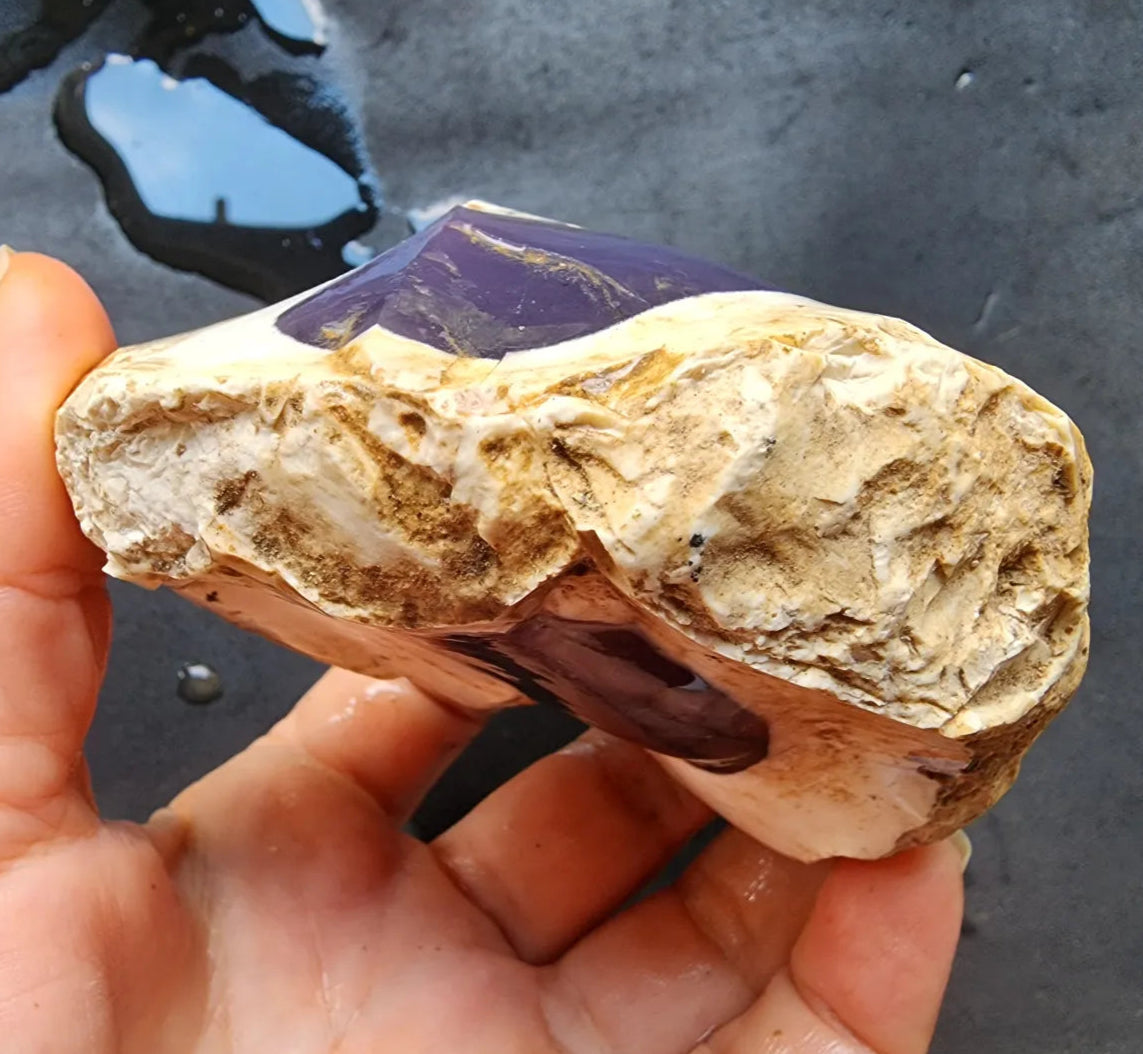 Dendritic Opal Rough Lot
