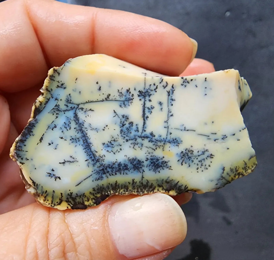 Dendritic Opal Rough Lot