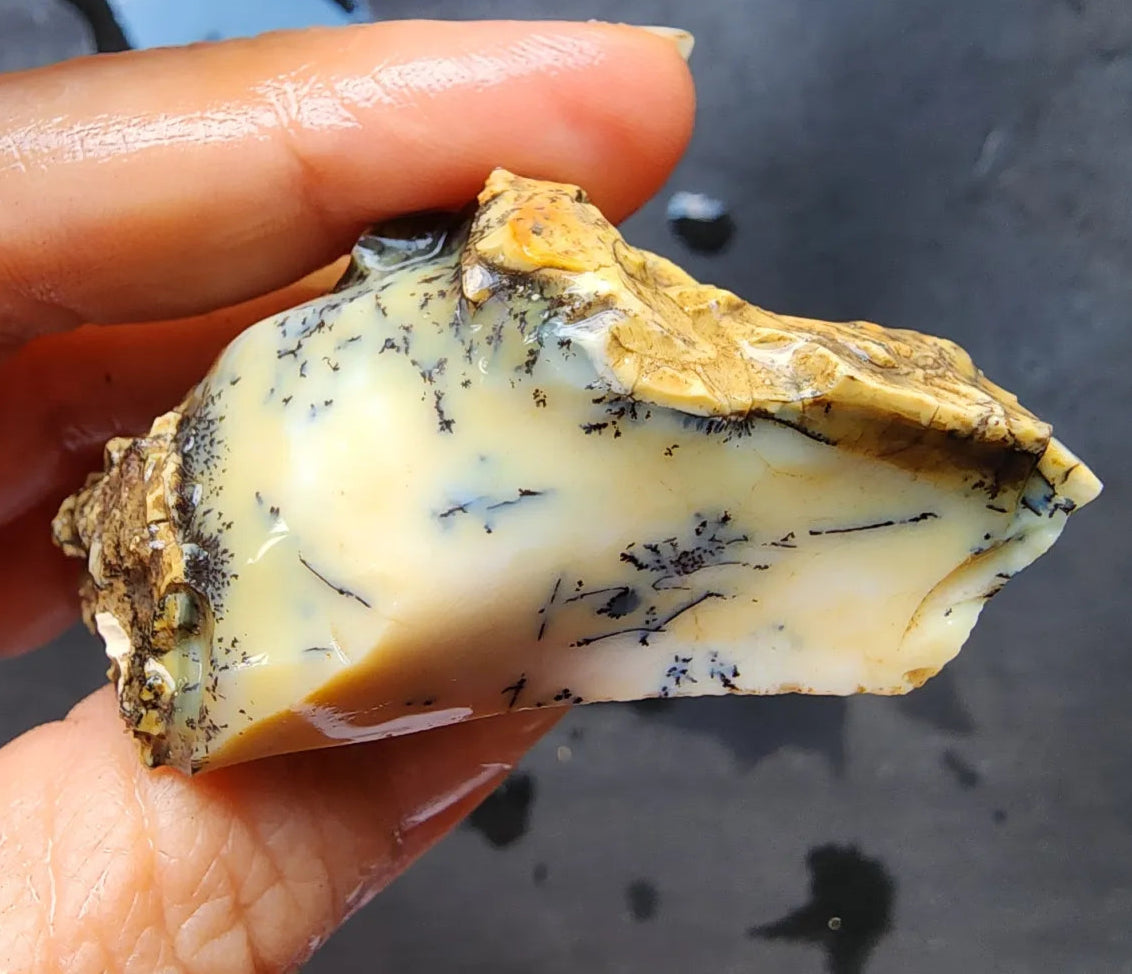 Dendritic Opal Rough Lot