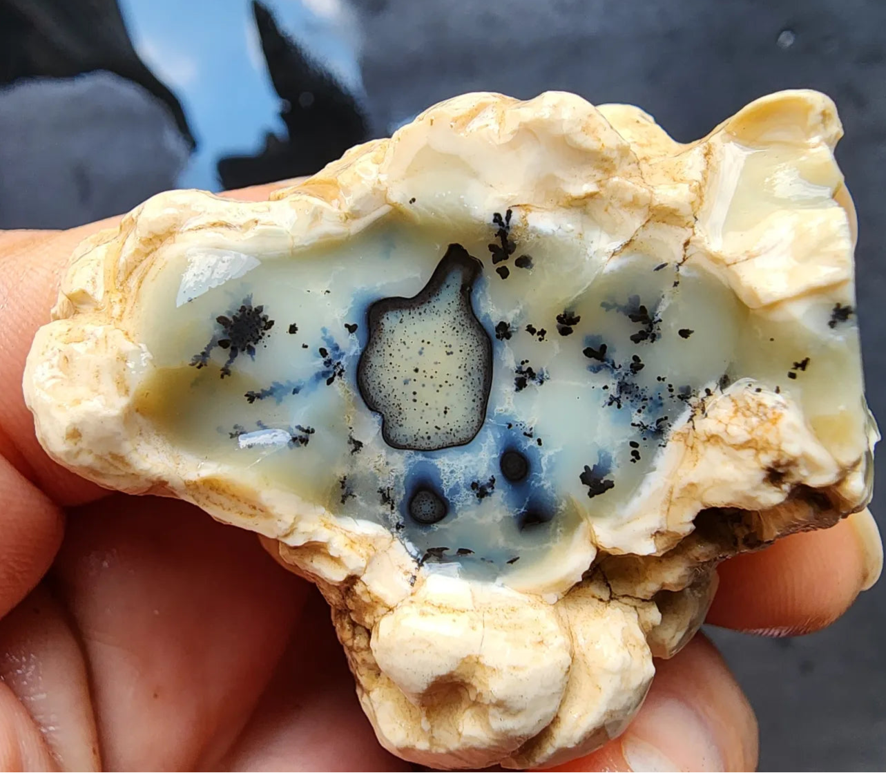 Dendritic Opal Rough Lot