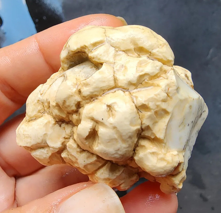 Dendritic Opal Rough Lot