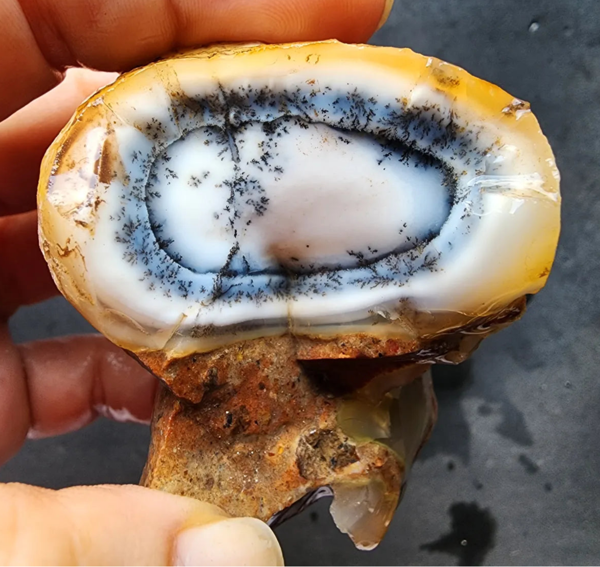 Dendritic Opal Rough Lot