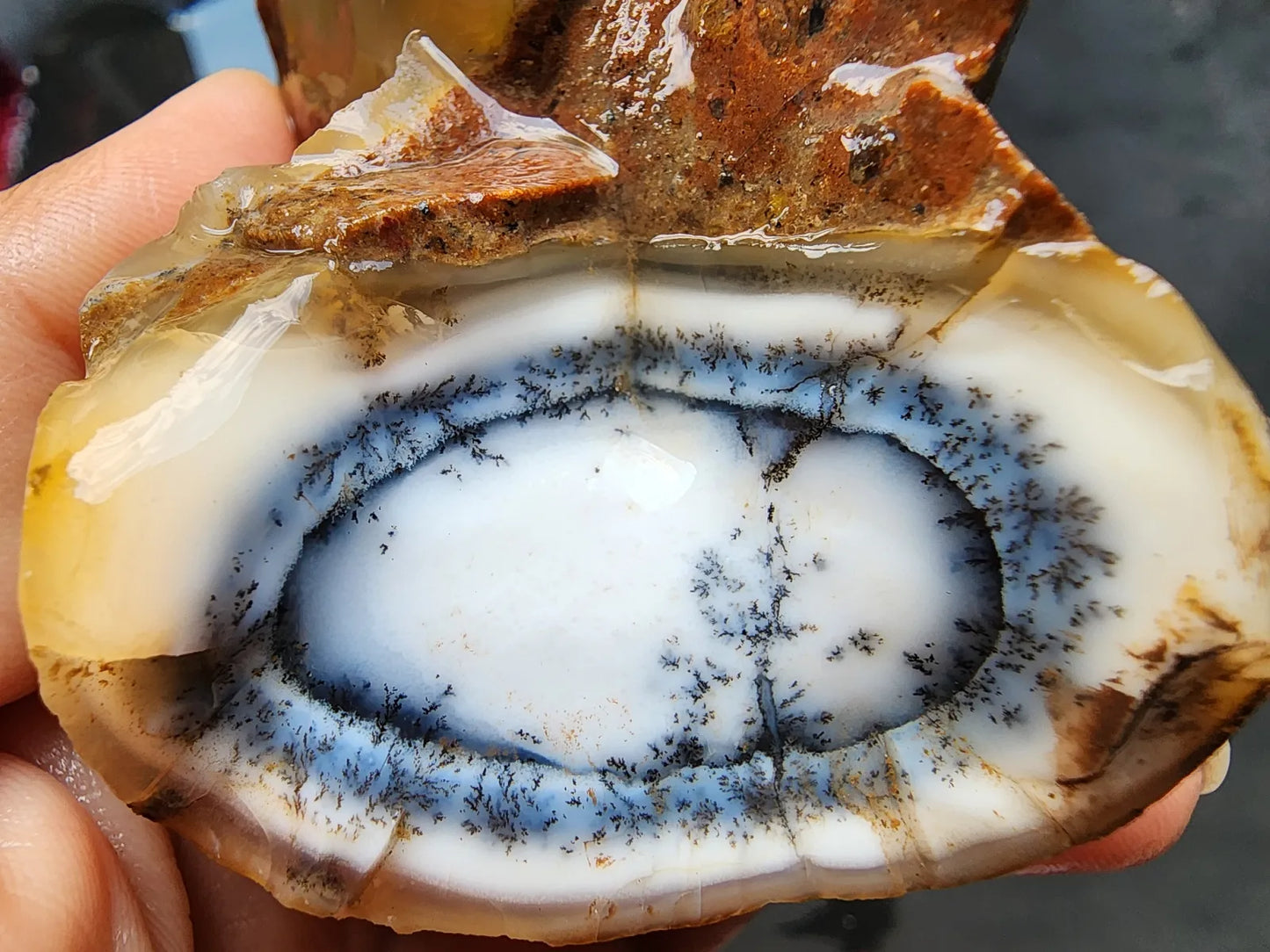 Dendritic Opal Rough Lot