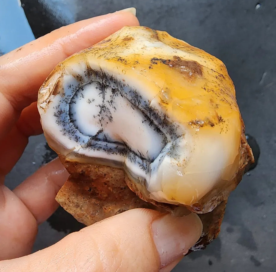 Dendritic Opal Rough Lot