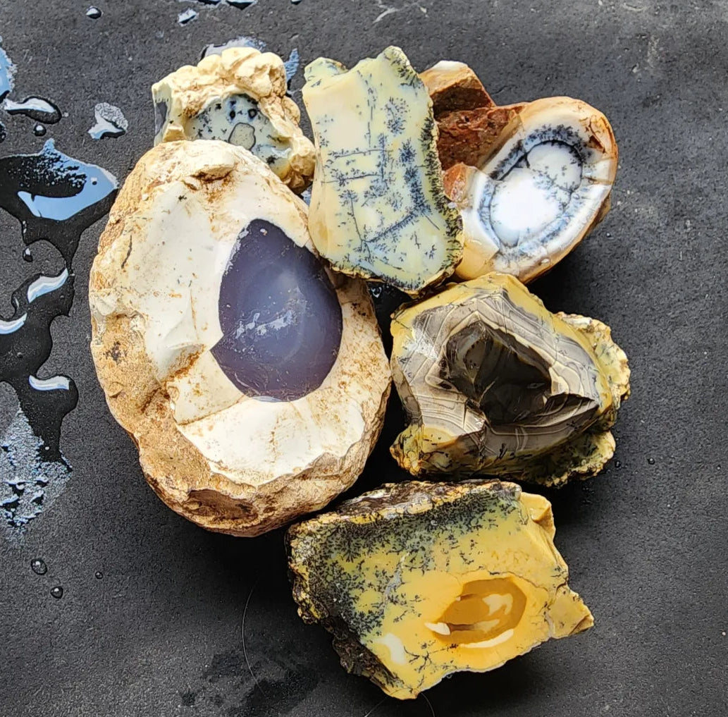 Dendritic Opal Rough Lot