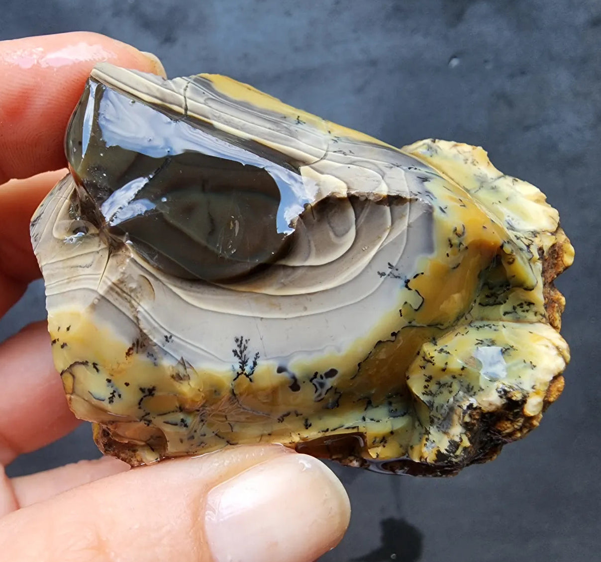 Dendritic Opal Rough Lot