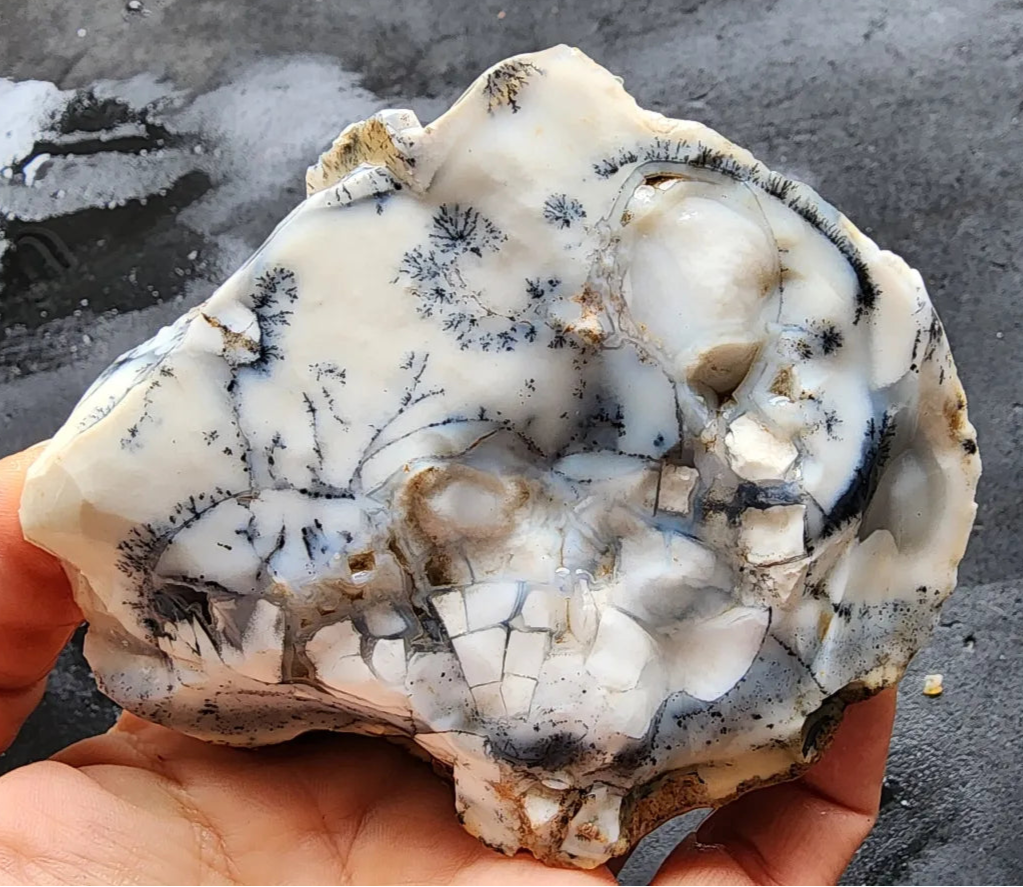 Dendritic Opal Decorative Rock