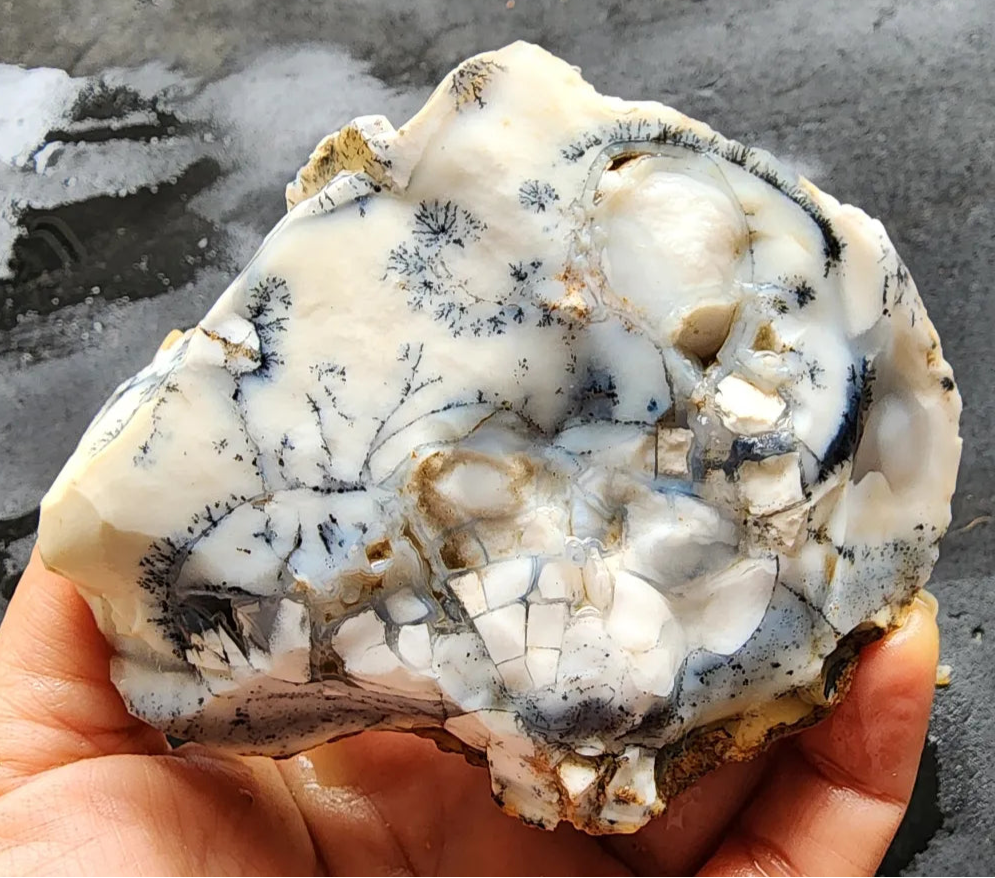 Dendritic Opal Decorative Rock