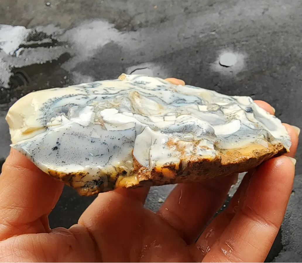 Dendritic Opal Decorative Rock