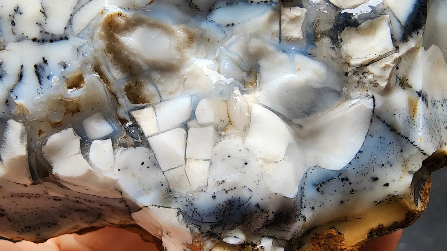Dendritic Opal Decorative Rock