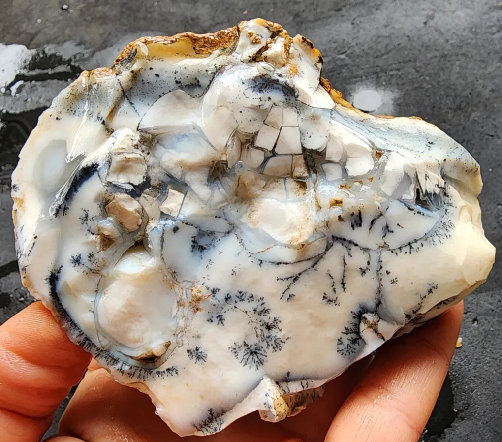 Dendritic Opal Decorative Rock
