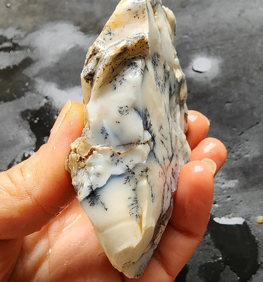 Dendritic Opal Decorative Rock