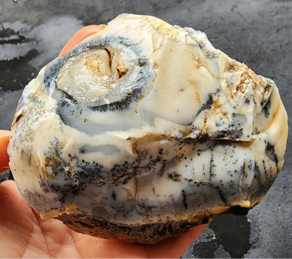 Dendritic Opal Decorative Rock