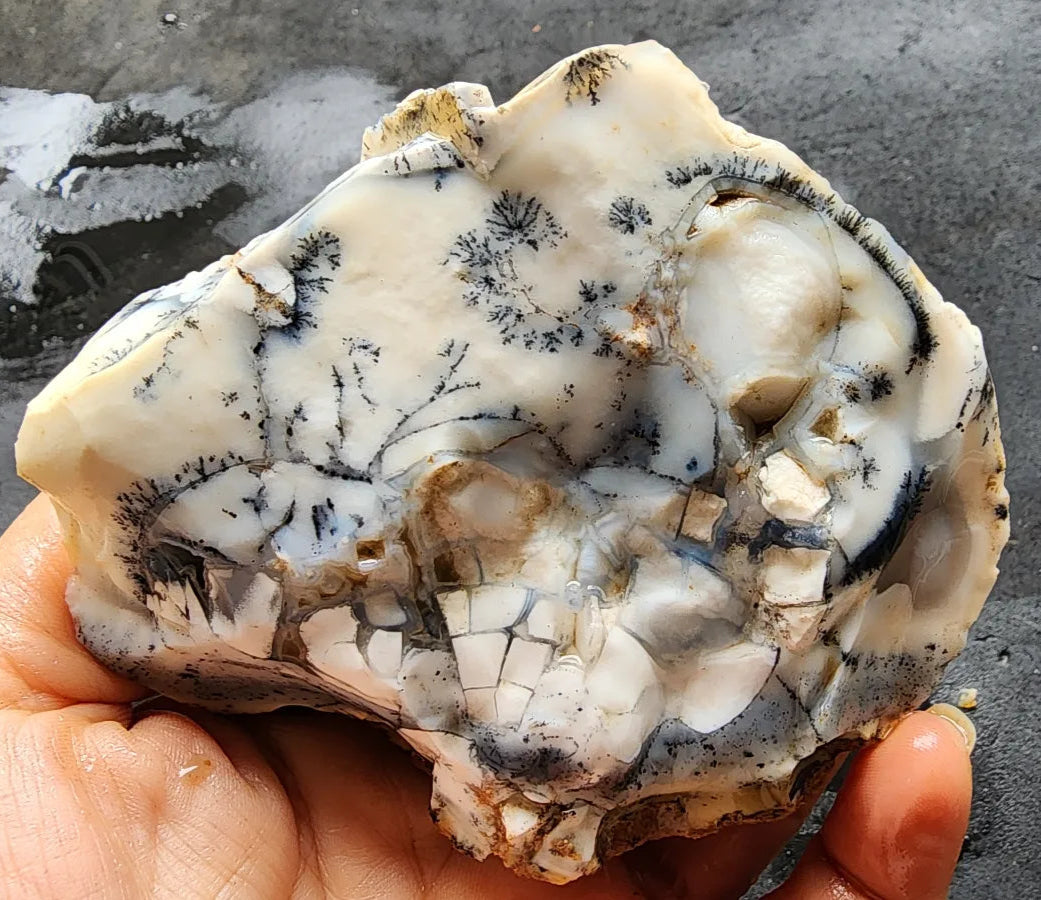 Dendritic Opal Decorative Rock