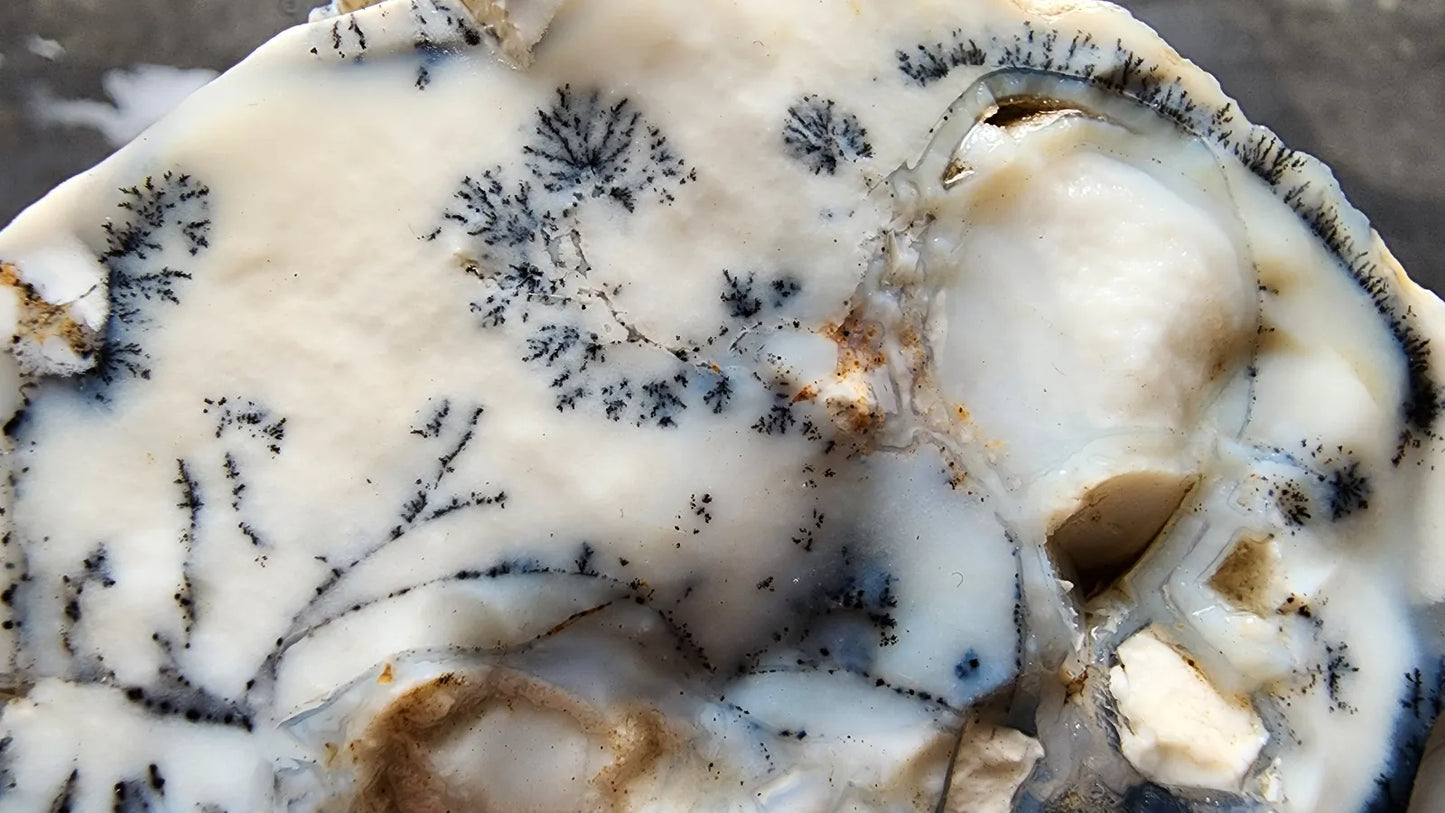 Dendritic Opal Decorative Rock