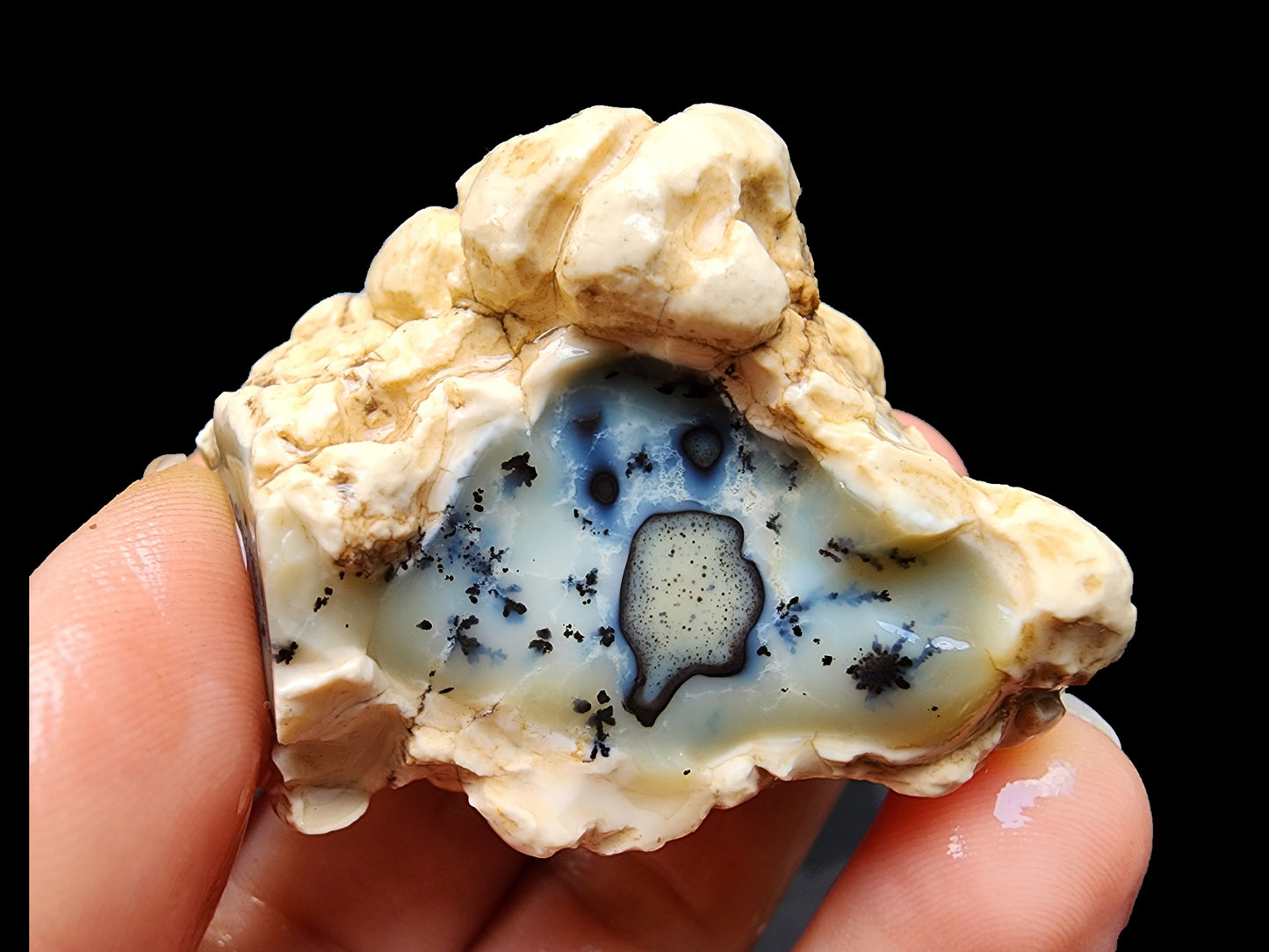 Dendritic Opal Rough Lot