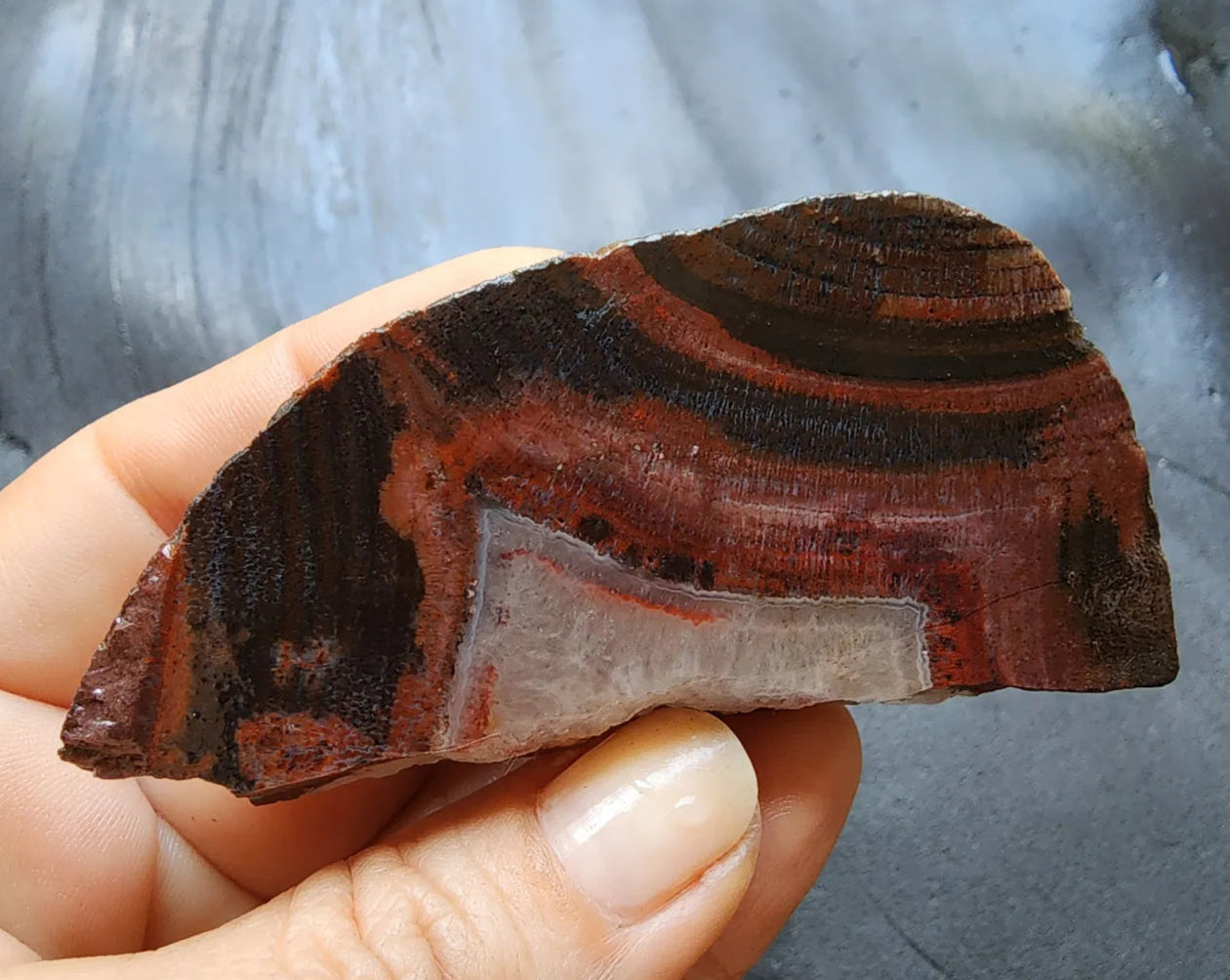 Red & Black Banded Agate - Odd Rock