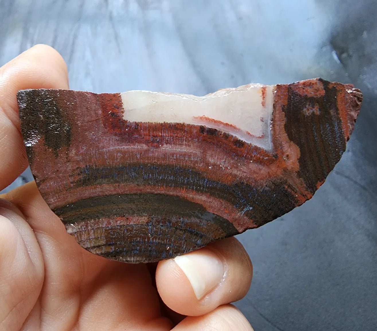 Red & Black Banded Agate - Odd Rock