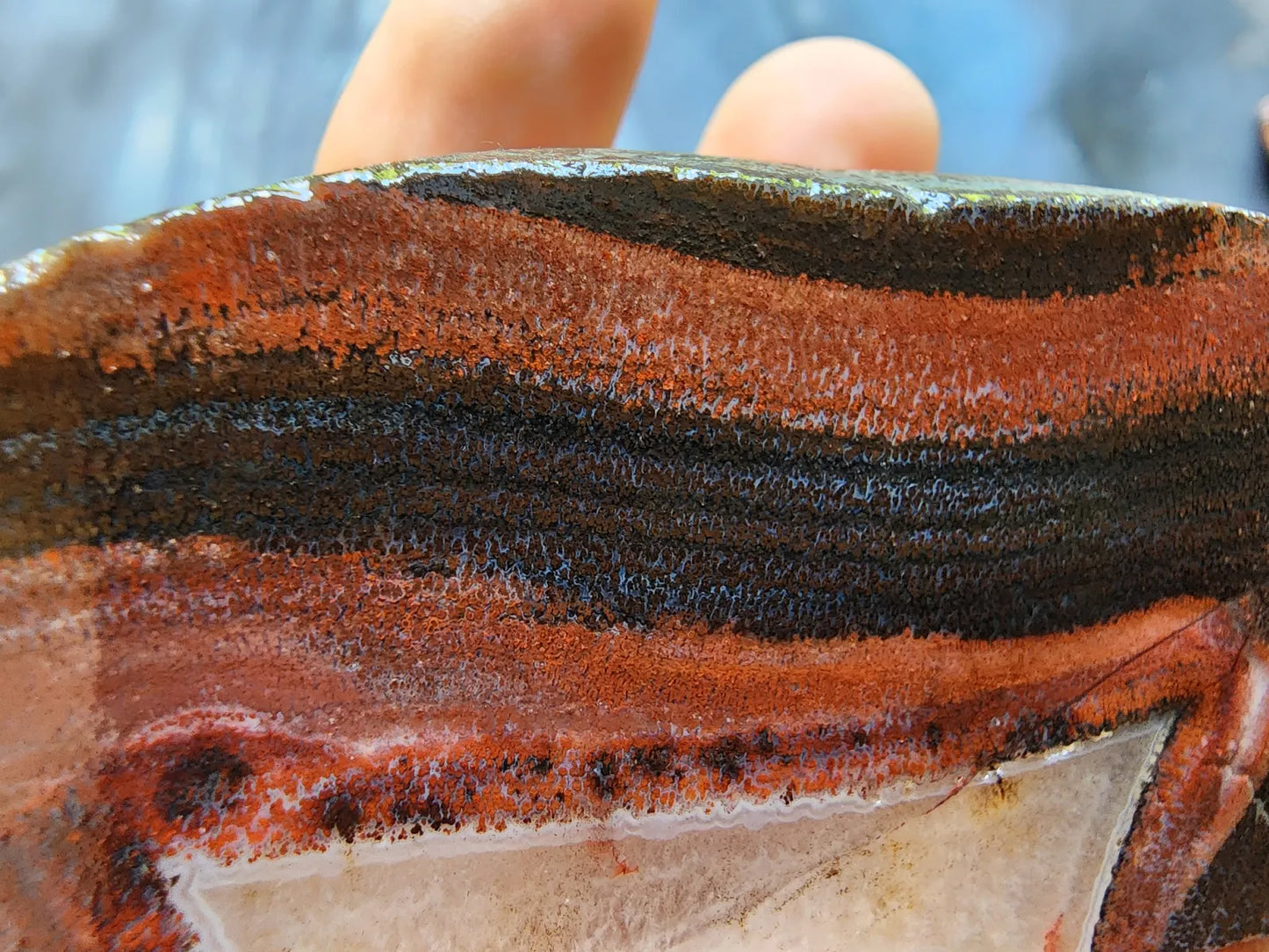 Red & Black Banded Agate - Odd Rock