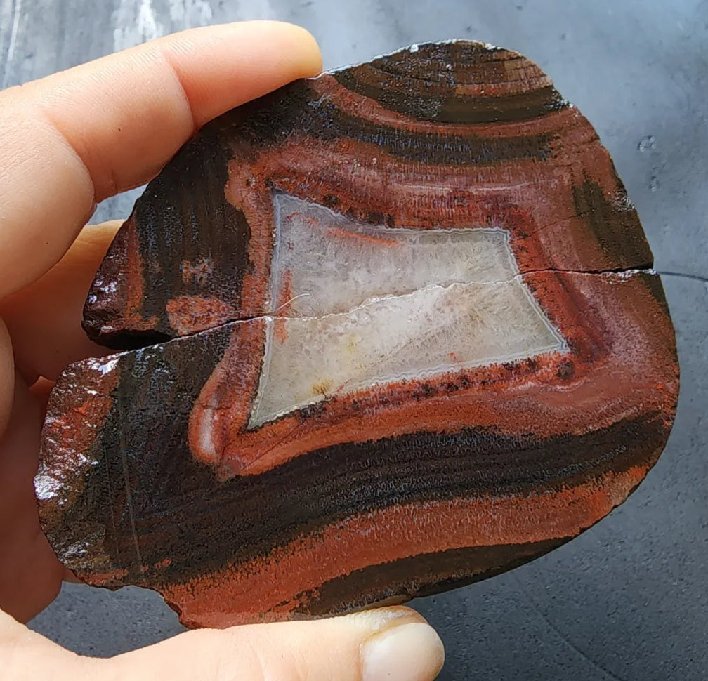 Red & Black Banded Agate - Odd Rock