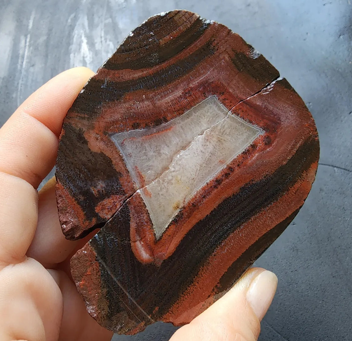 Red & Black Banded Agate - Odd Rock