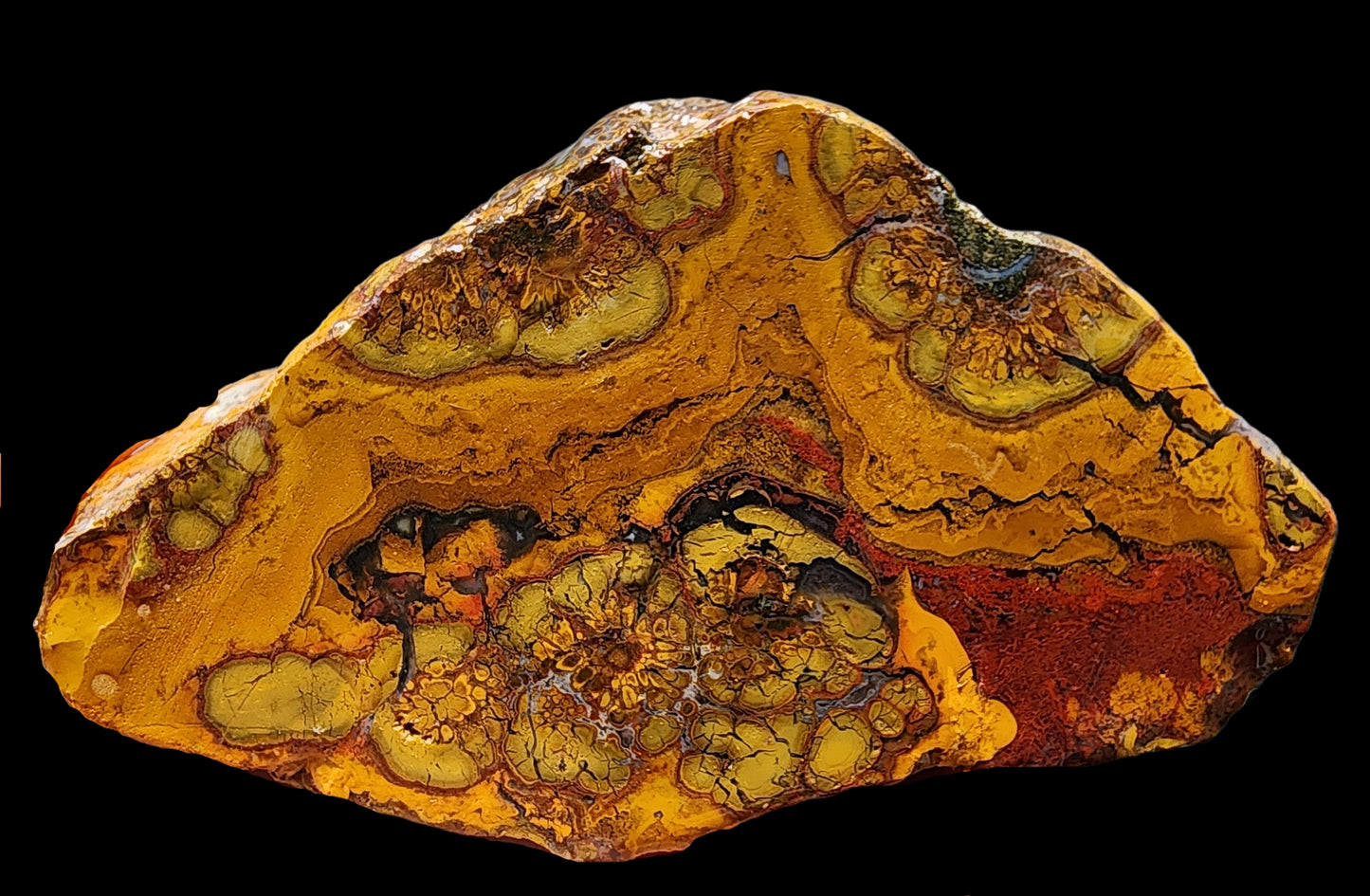 Beautiful Jasper Pair