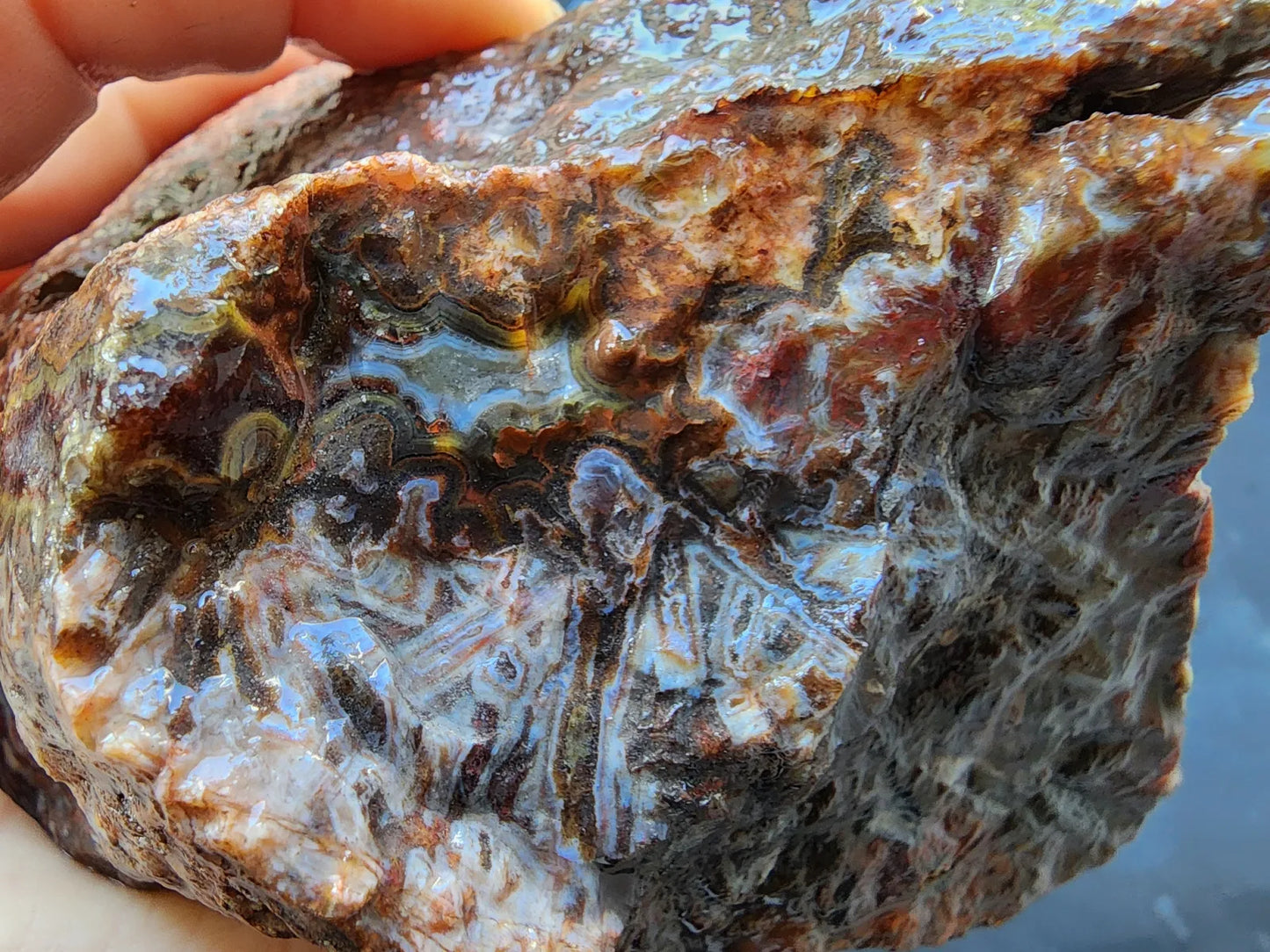 Natural Agate Display
