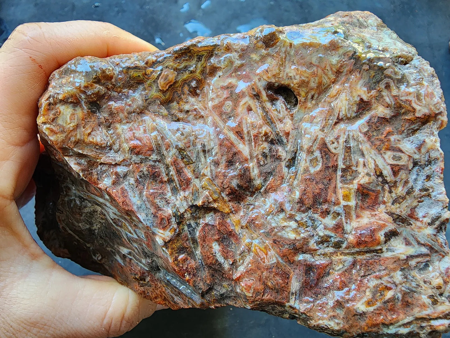 Natural Agate Display