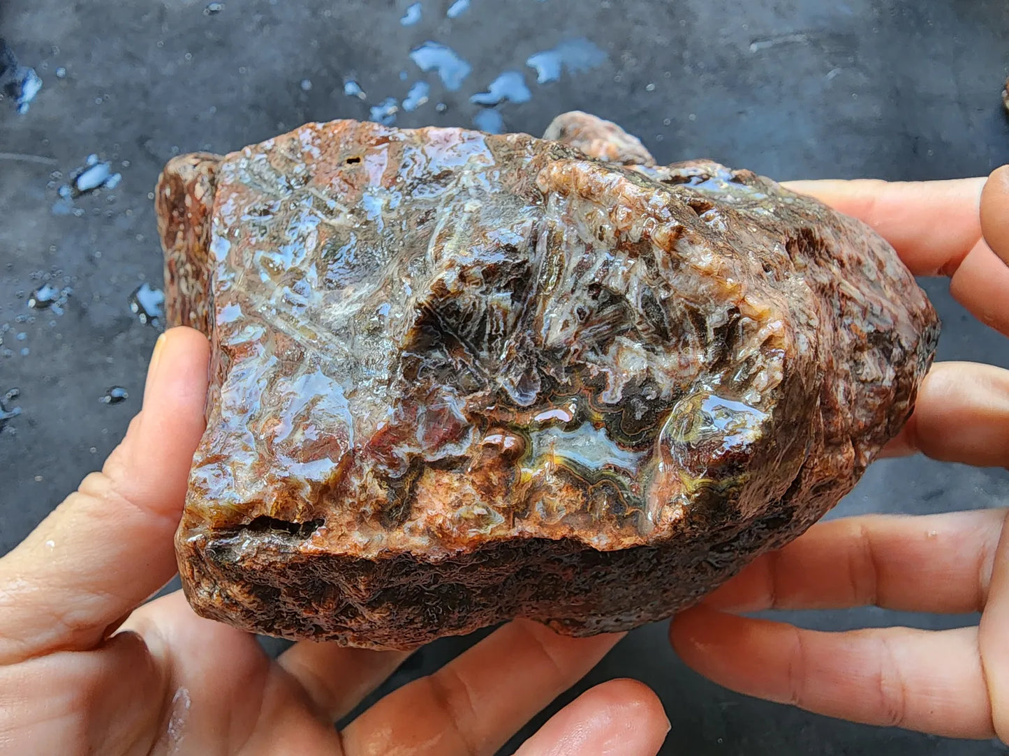 Natural Agate Display