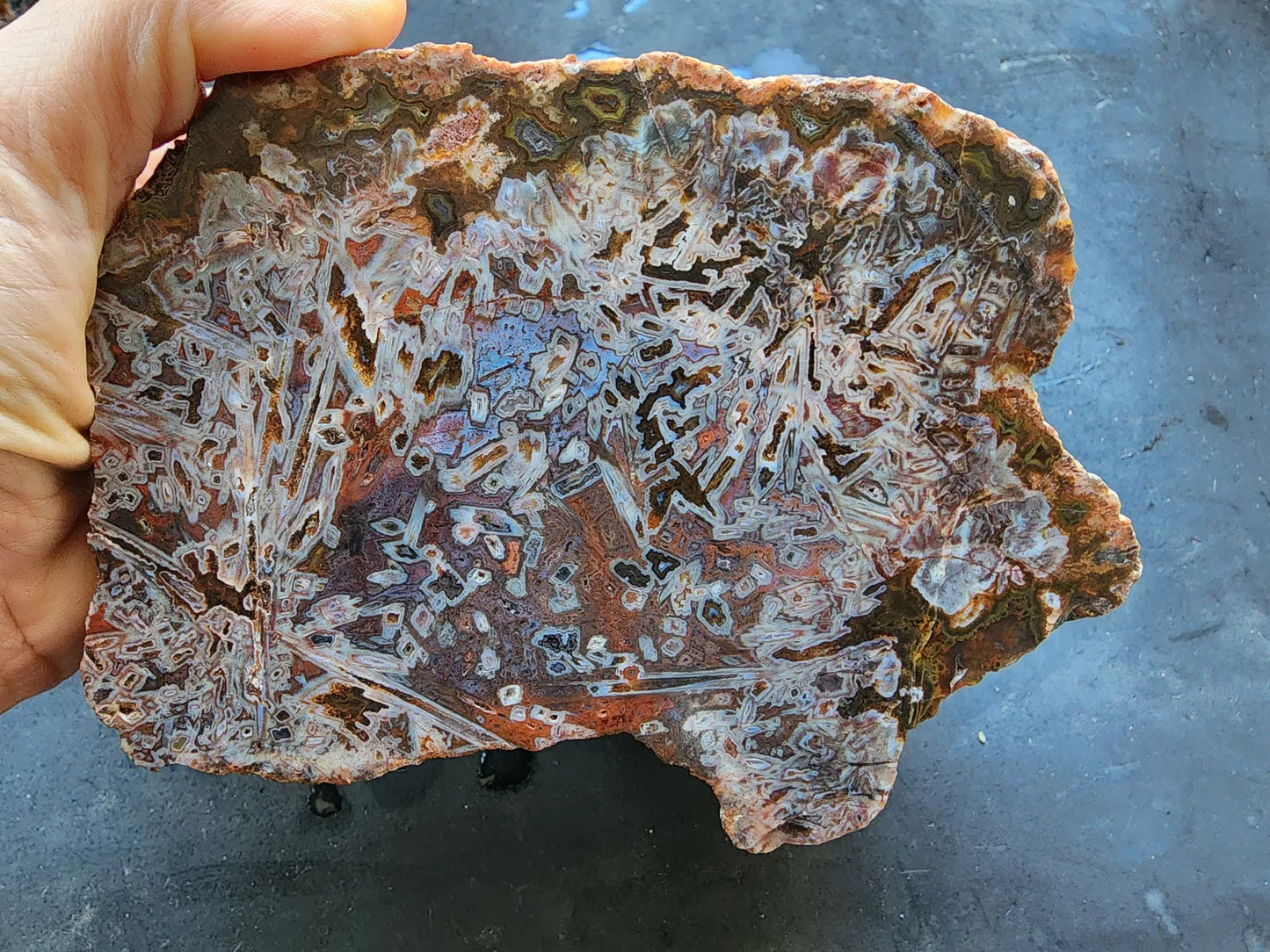 Natural Agate Display