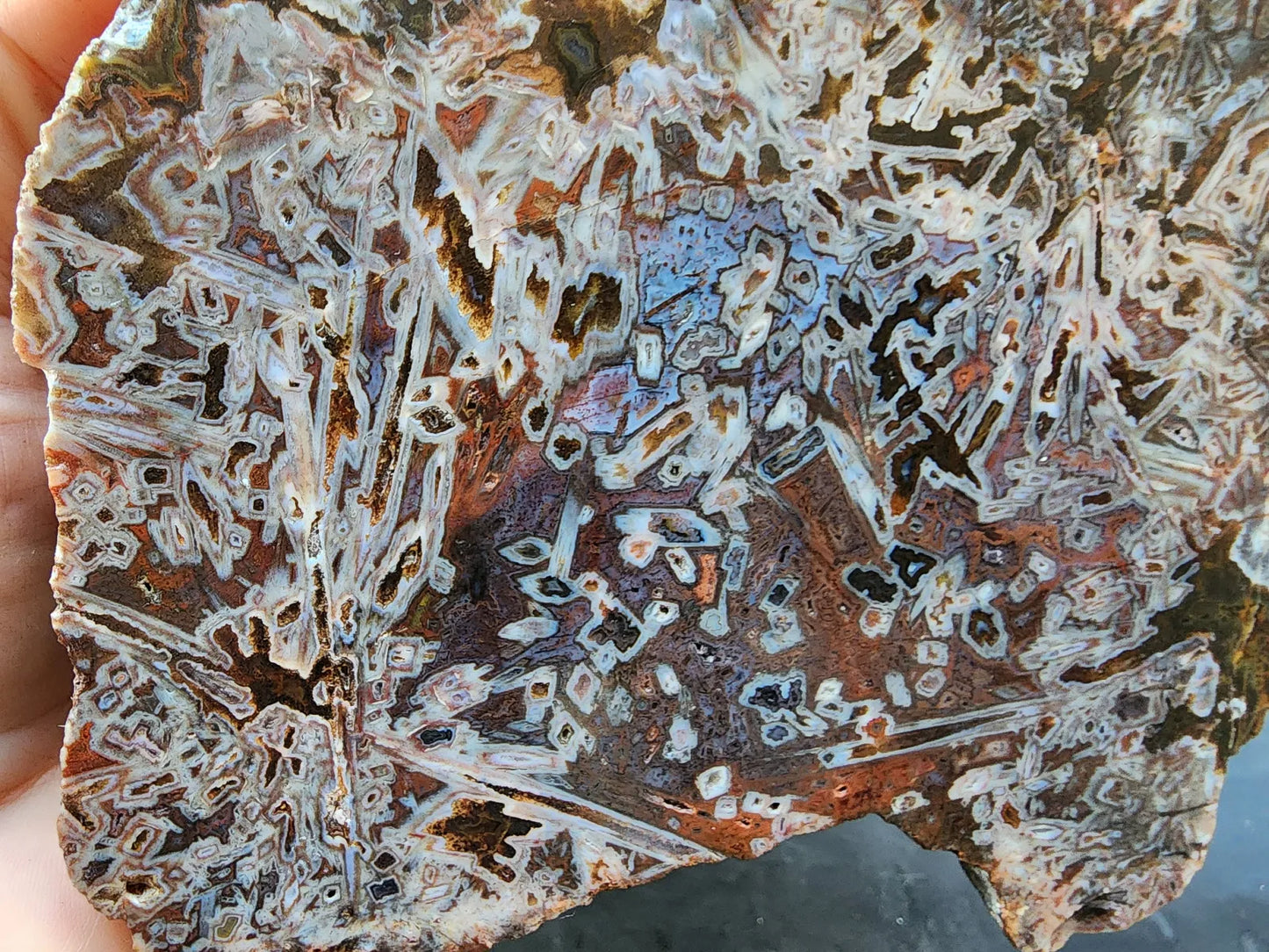 Natural Agate Display