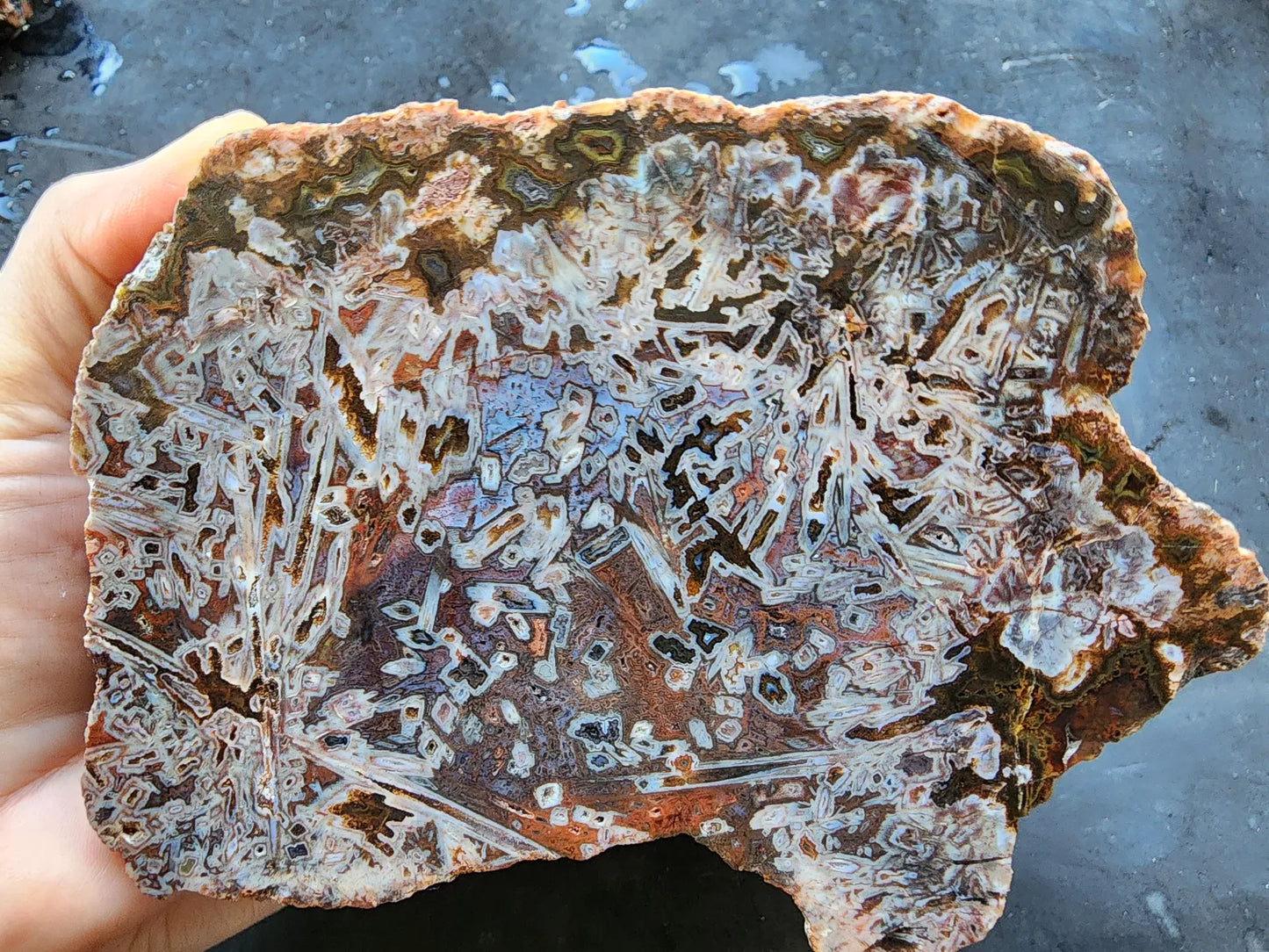 Natural Agate Display