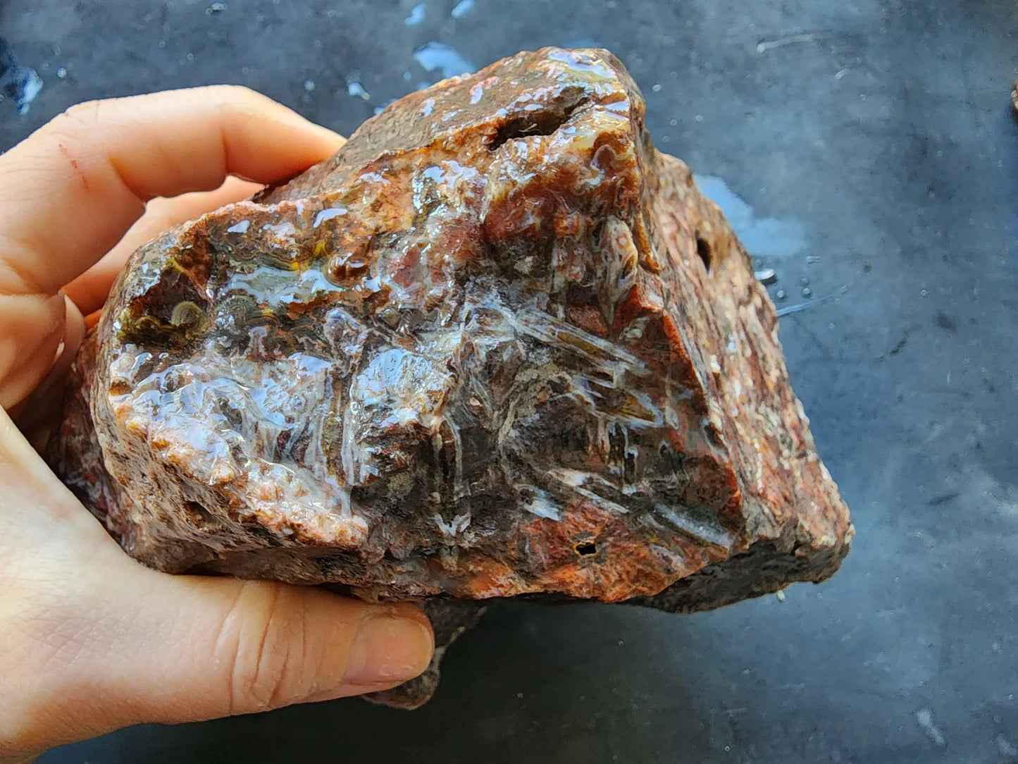 Natural Agate Display