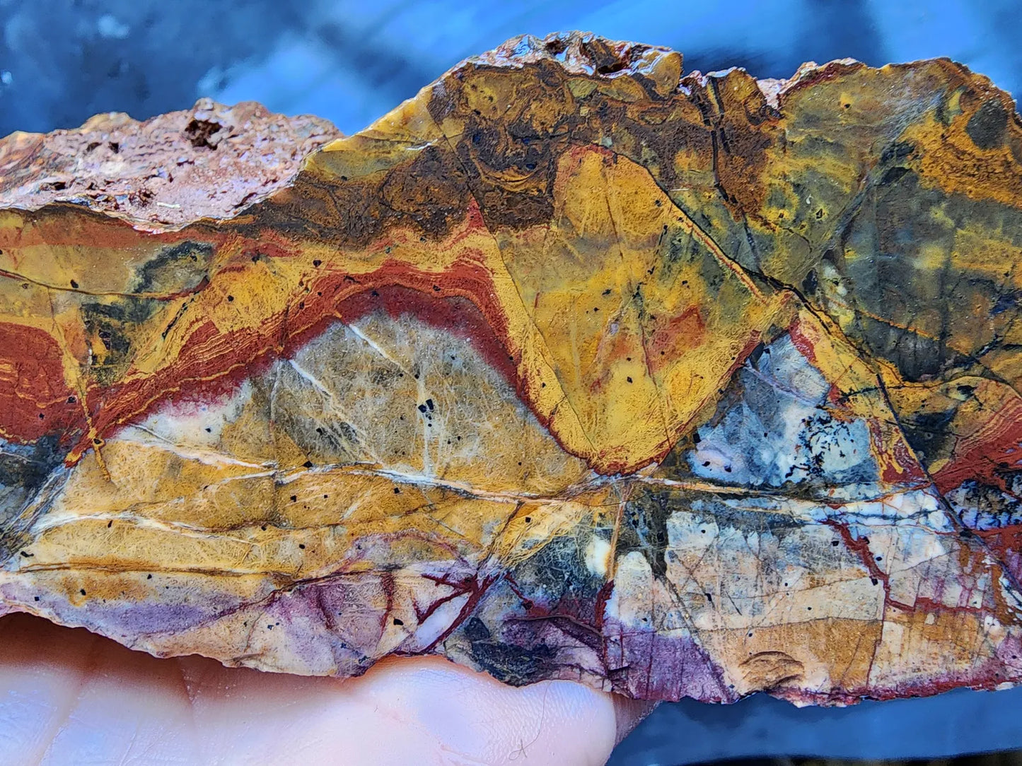 Picture Jasper