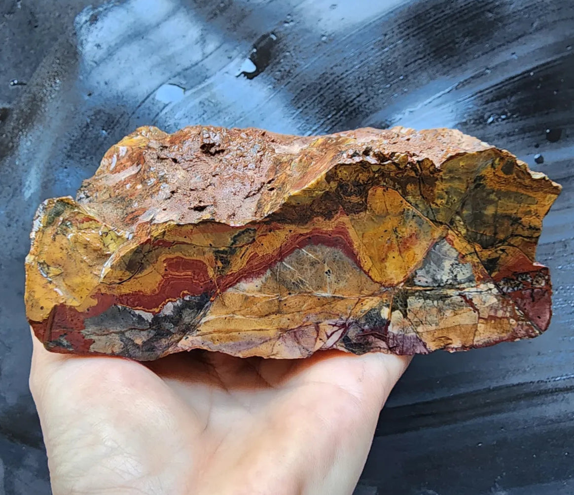 Picture Jasper
