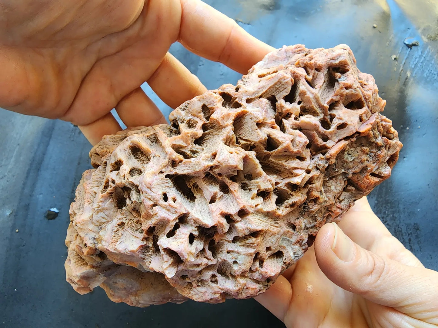Large Decorative Rock