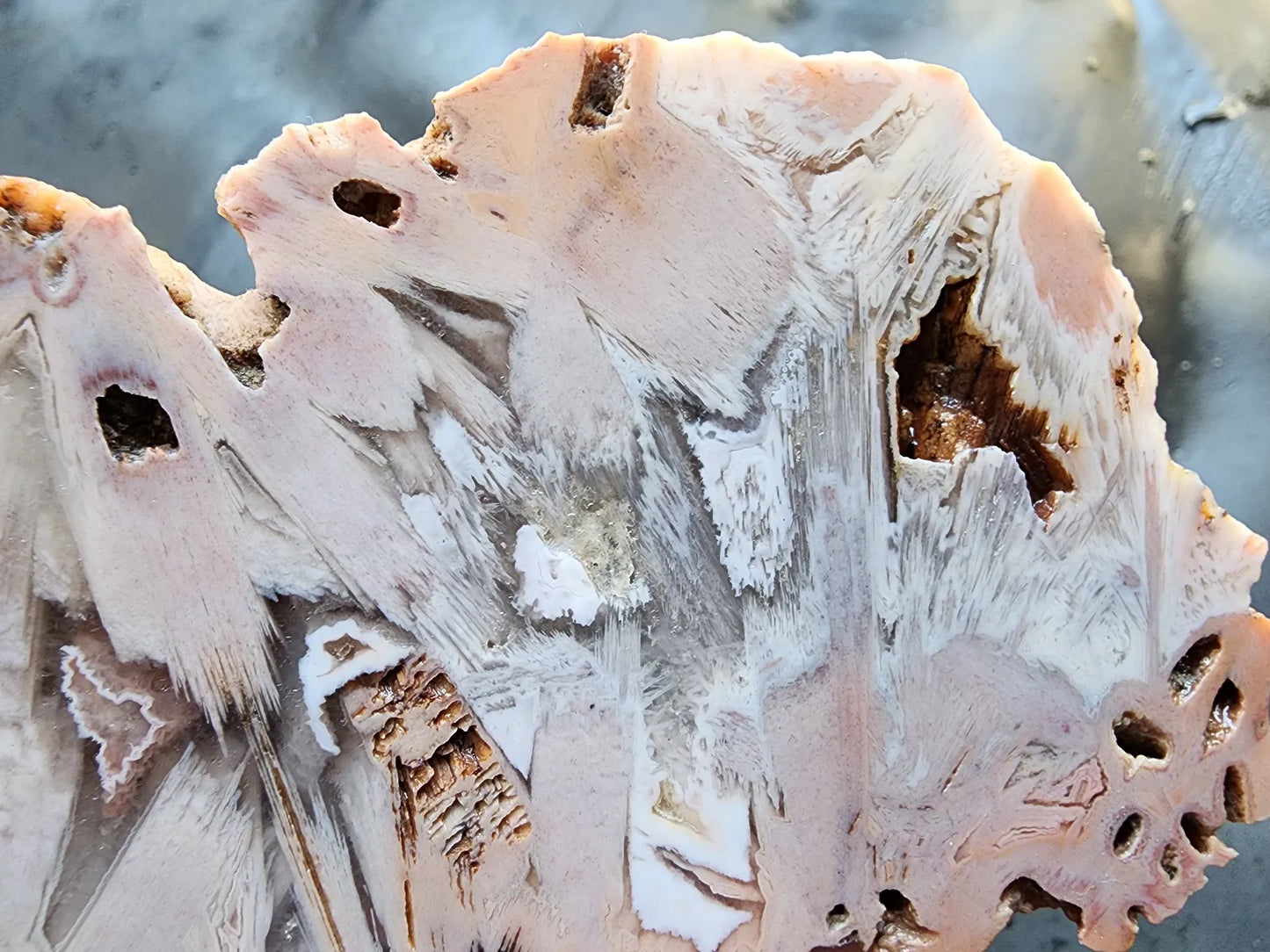 Large Decorative Rock