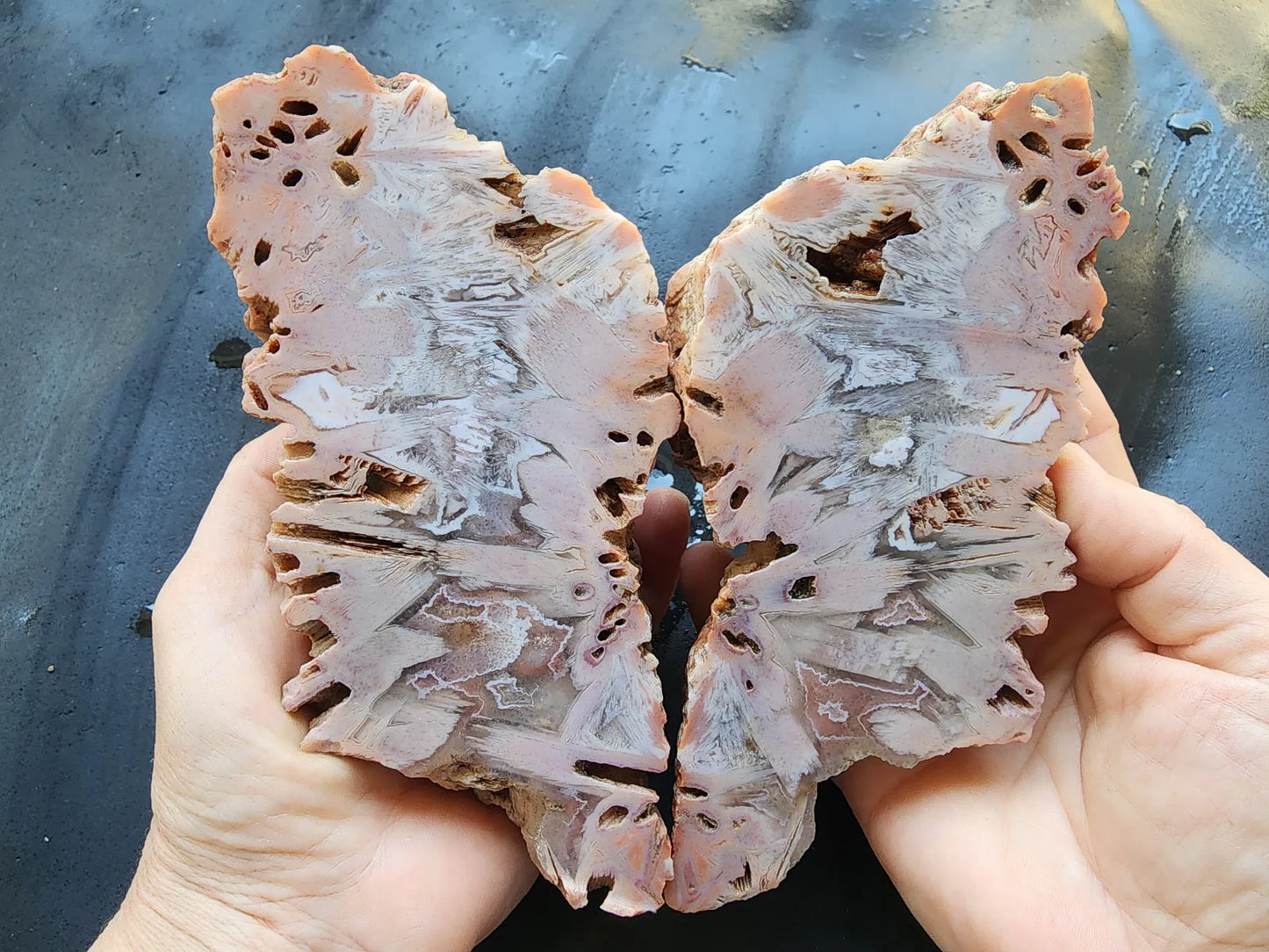 Large Decorative Rock