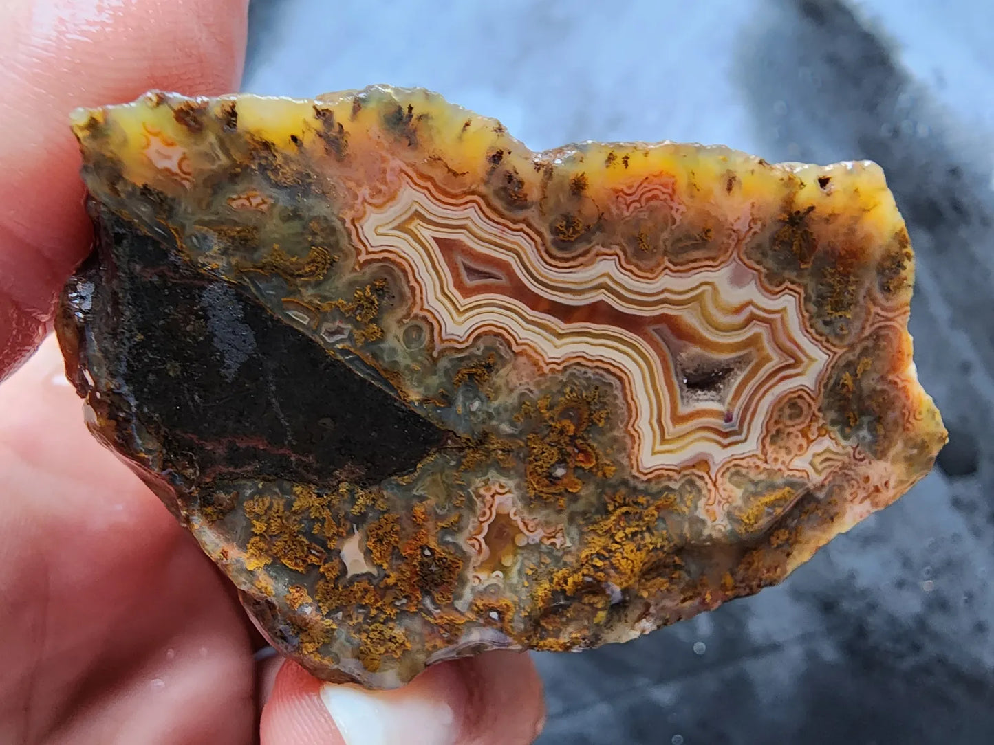 Druzy Plume Agate