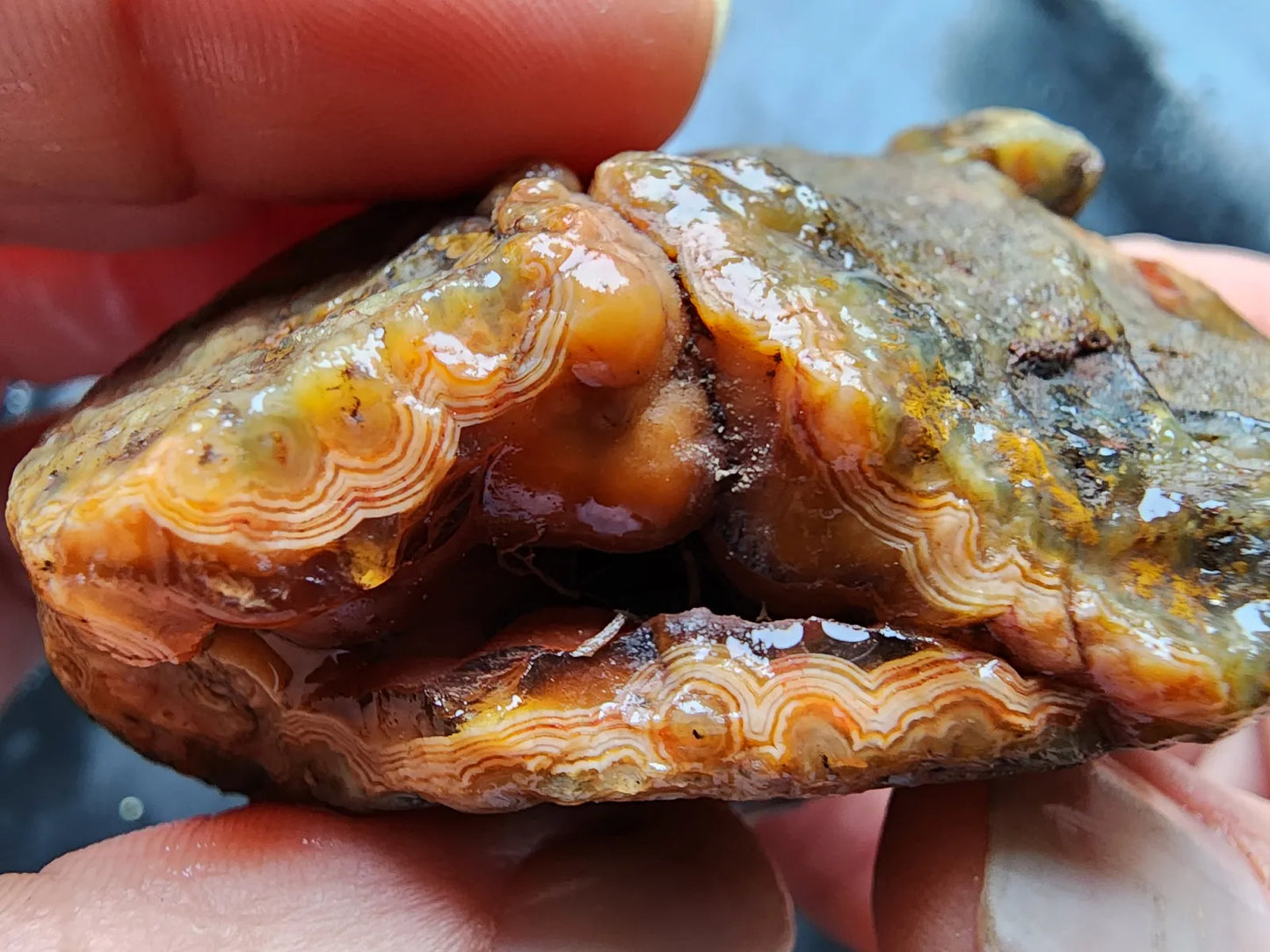 Druzy Plume Agate