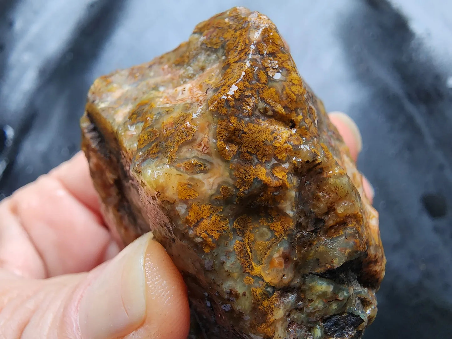Druzy Plume Agate
