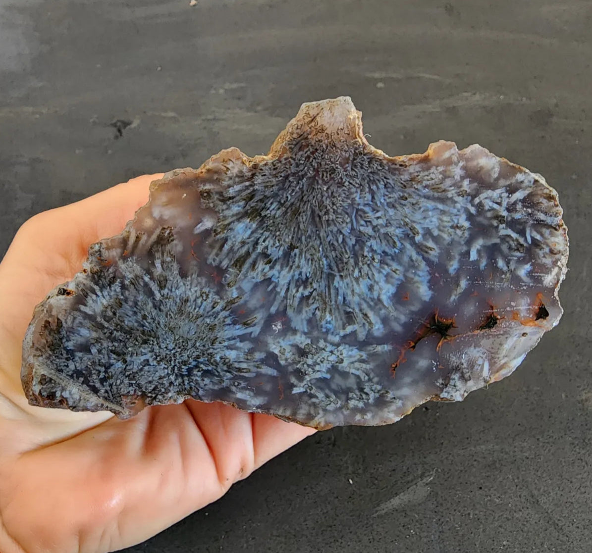 Sagenite Agate