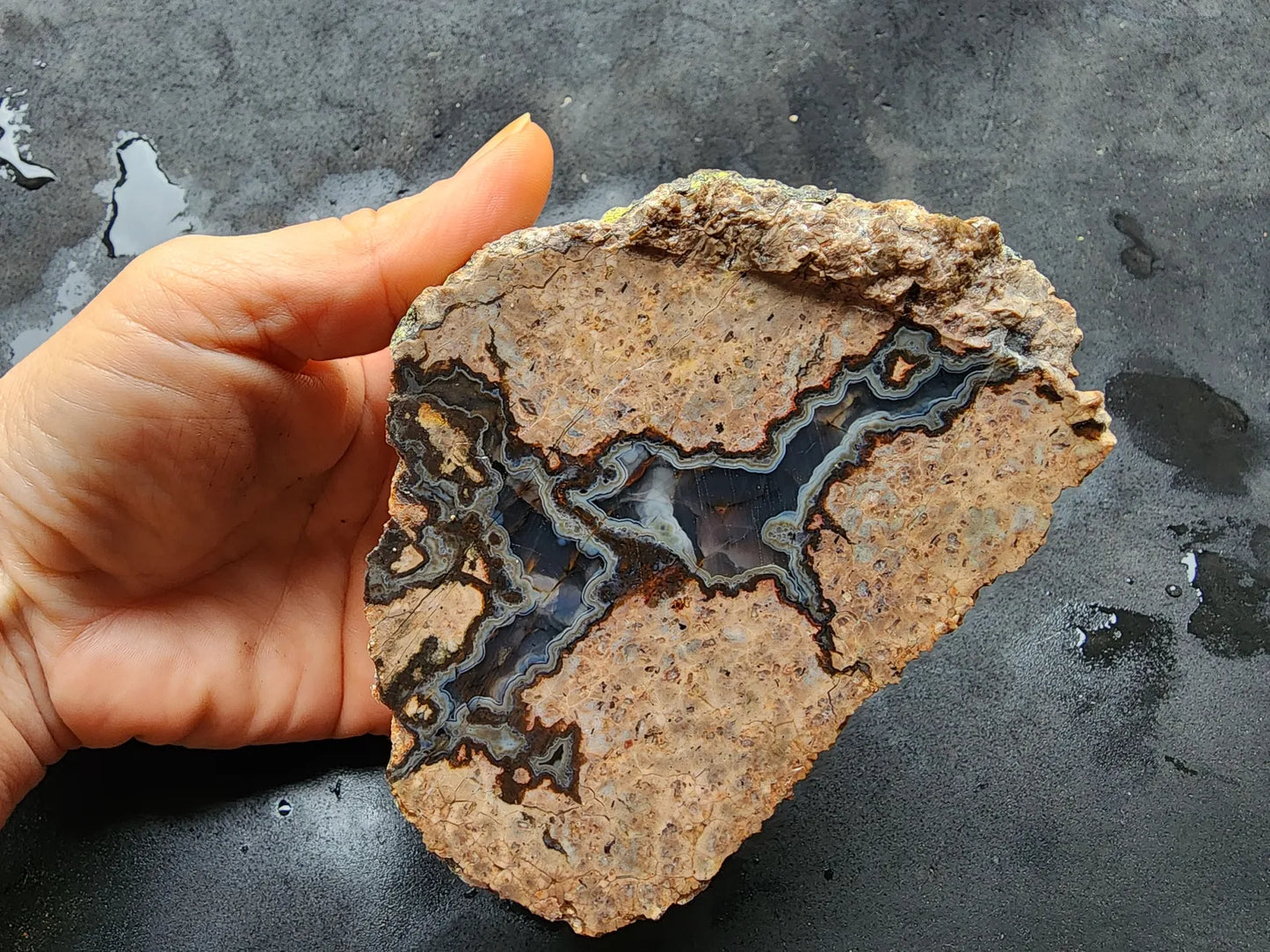 Rorschach Agate