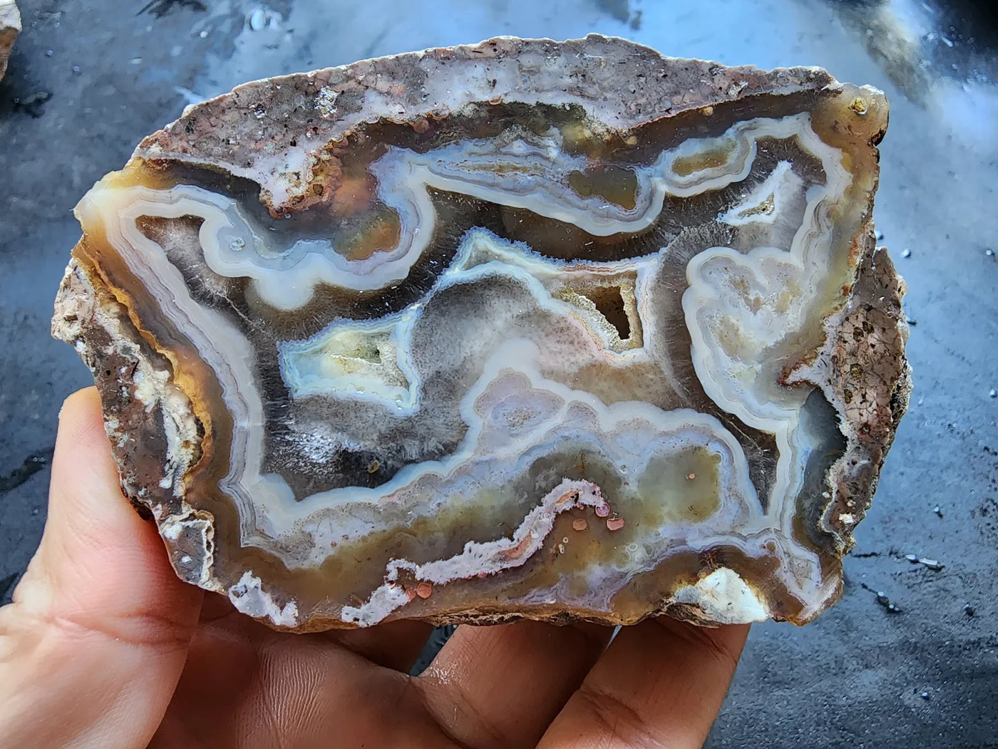 Picasso Portrait - Thunderegg