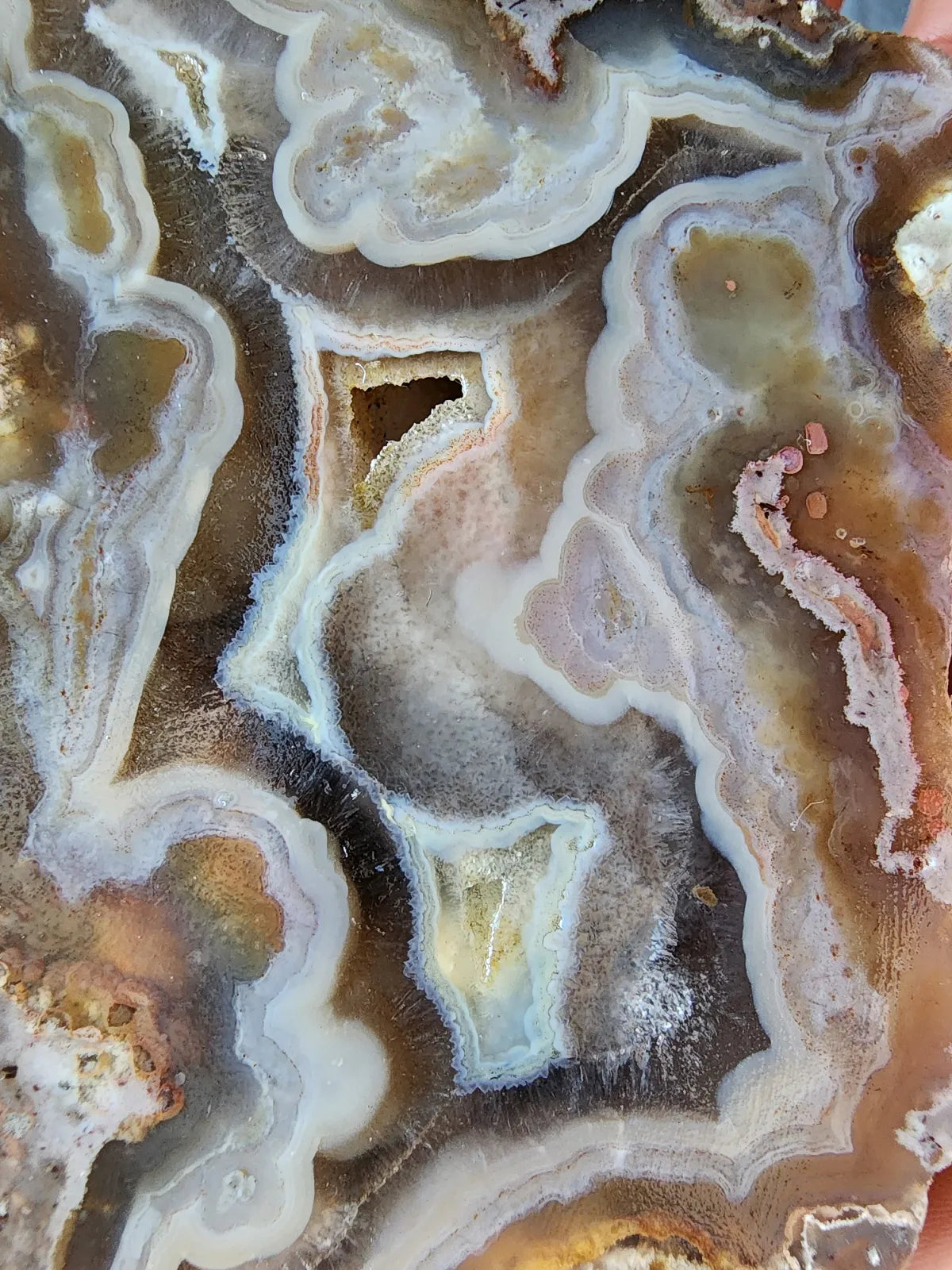 Picasso Portrait - Thunderegg
